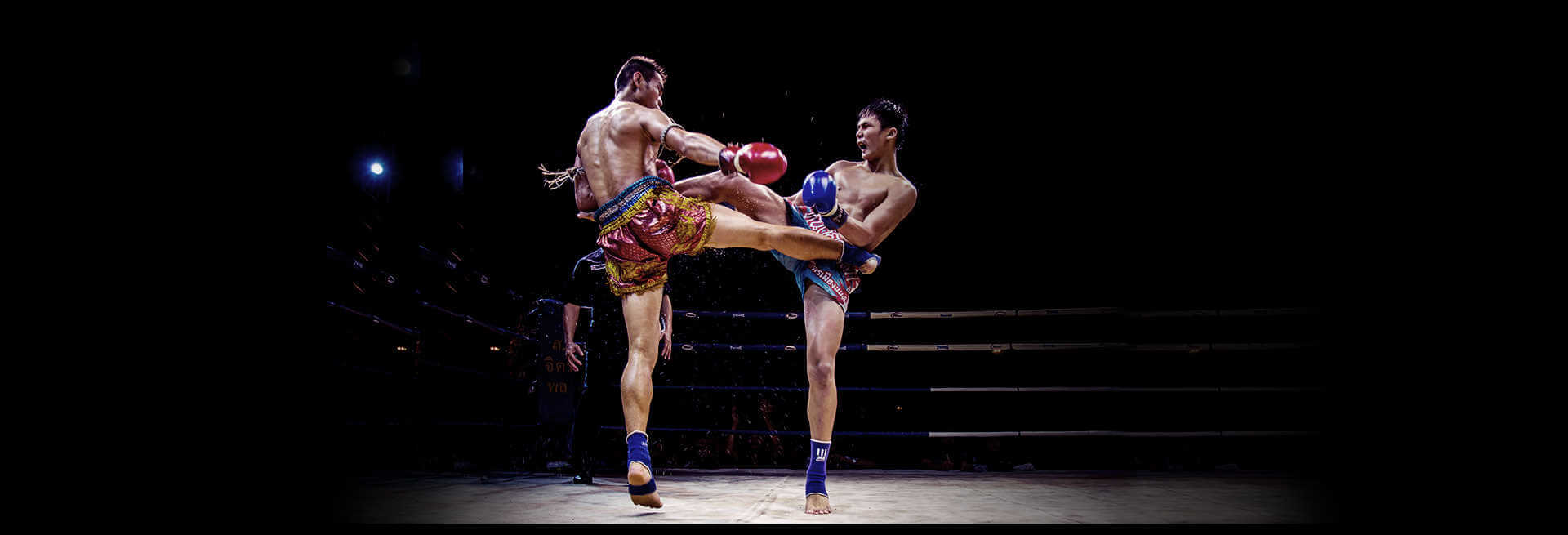 บทความ
